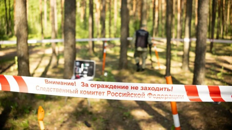 В Тверской области начались проверки после незаконной рубки леса - новости ТИА