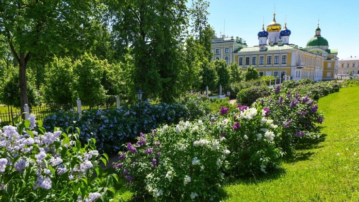 Виталий Королев: Тверь вошла в число городов, наиболее привлекательных для жизни - новости ТИА