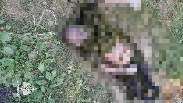 В реке Тьмака в Твери нашли тело утонувшего мужчины - новости ТИА