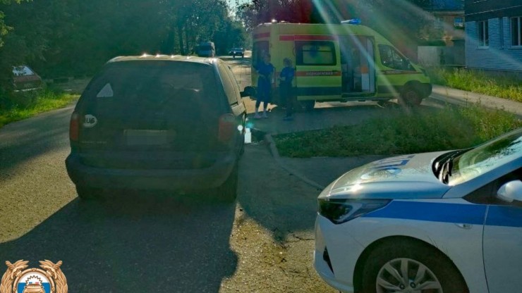 В Твери из-за яркого солнца водитель не заметил женщину, которая гуляла с собакой - новости ТИА