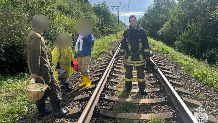 В Твери спасатели вывели из леса трех грибников - новости ТИА