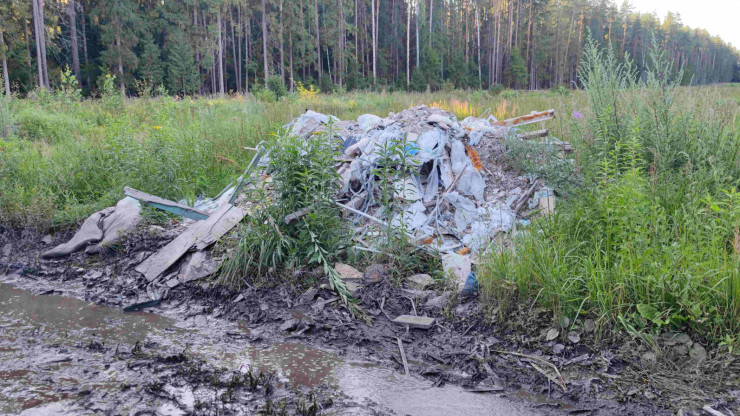 Многочисленные свалки мусора в лесу у посёлка Заволжский - народные новости ТИА