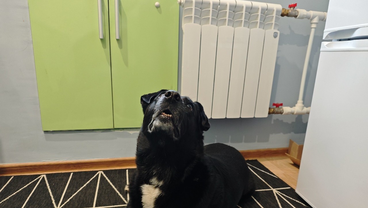 Фото из архива ТИА