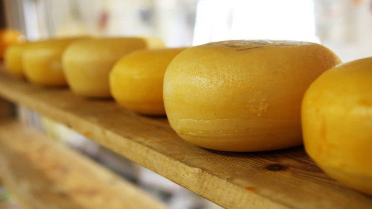Эксперты Россельхознадзора выявили в Твери фальсифицированный сыр - новости ТИА