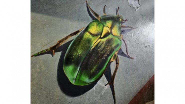 В Твери в подъезде одного из домов появилось реалистичное граффити: зелёный жук - новости ТИА