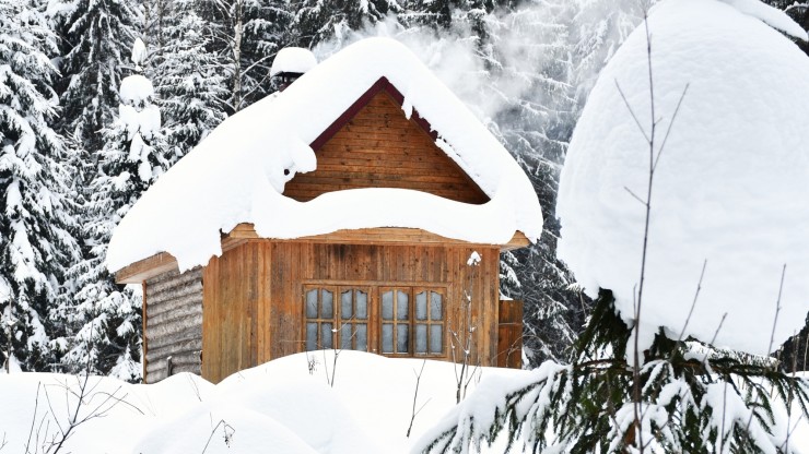 Девушка рассказала о необычных развлечениях в глухом лесу в Тверской области - новости ТИА