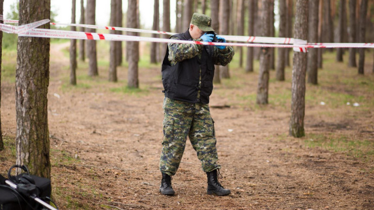В Тверской области в лесу обнаружили человеческие останки - новости ТИА