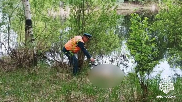 В Тверской области найдено тело утонувшего мужчины - новости ТИА