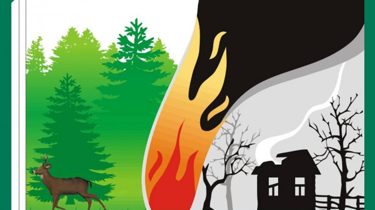 В Тверской области с начала сезона ликвидировали 14 лесных пожаров - новости ТИА