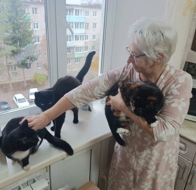 Фото: Инициативная группа по защите животных