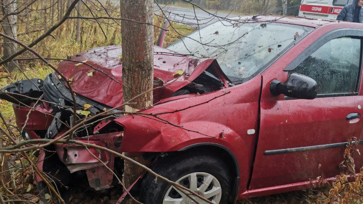 В Тверской области машина врезалась в дерево, пострадала пассажирка - новости ТИА