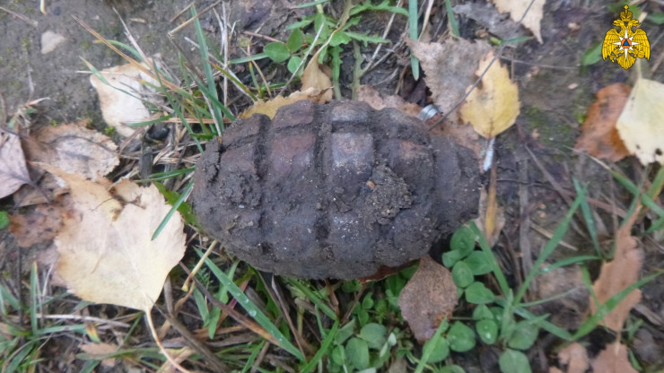 В Тверской области нашли ручную гранату времён войны - новости ТИА