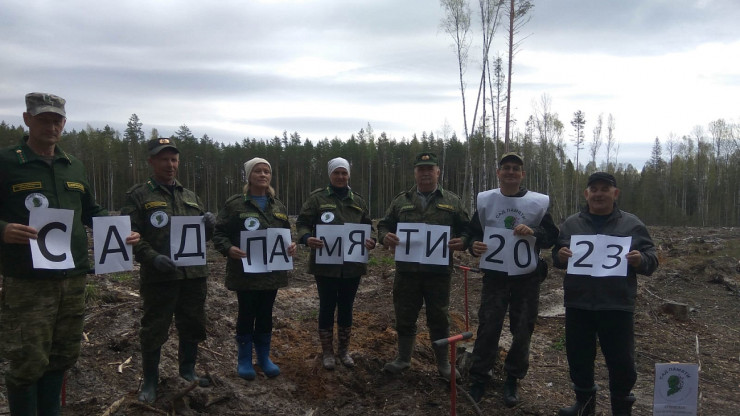 В Тверской области на акции "Сад памяти" высадили 2,6 миллиона деревьев - новости ТИА