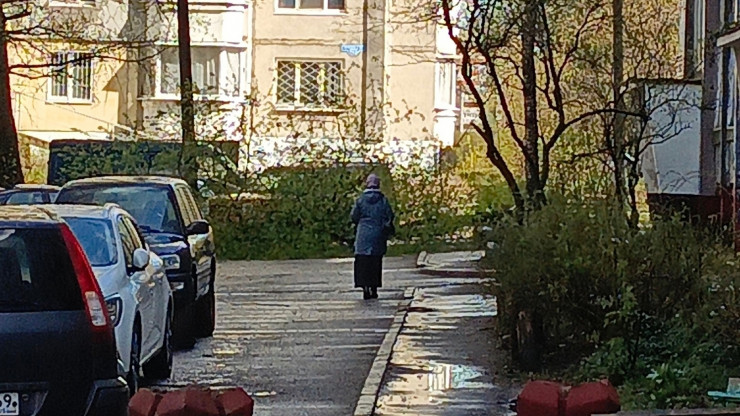 В Твери на проспекте Чайковского на мужчину упало дерево - новости ТИА