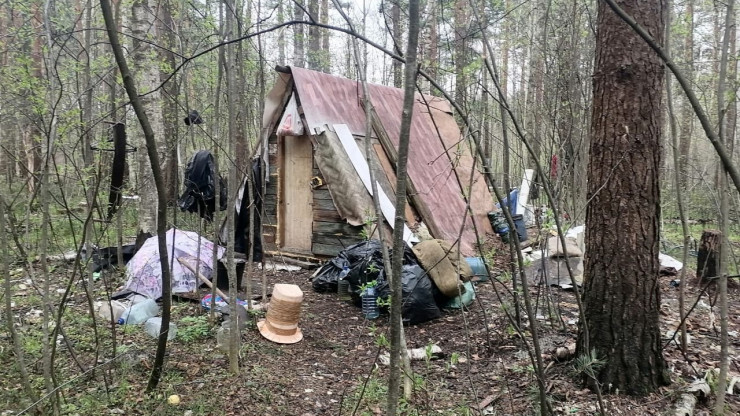 Волонтёры рассказали о судьбе двух лесных бродяг, живших в шалаше под Тверью - новости ТИА