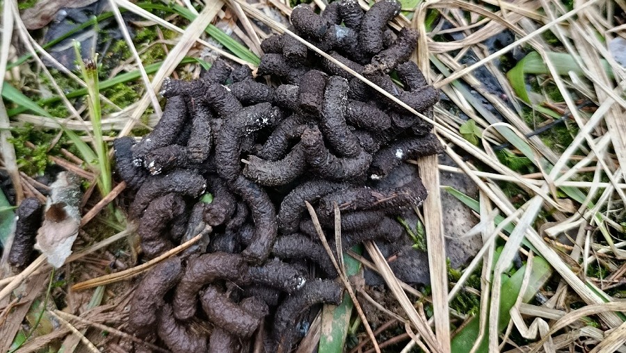 Фото: Тверь Натуральные новости ВКонтакте