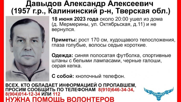 В Тверской области волонтеры ищут пропавшего пожилого мужчину - новости ТИА