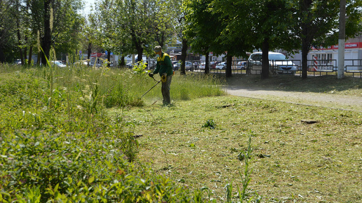 За неделю в Твери скосили траву на 47 тысячах квадратных метров - новости ТИА