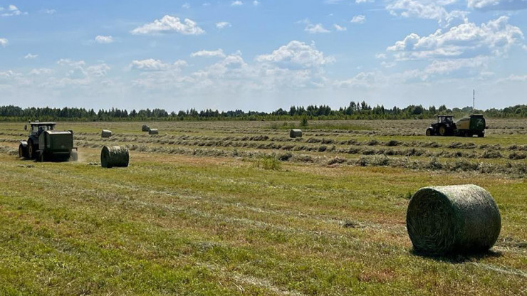 В Тверской области  заготавливают сено, сенаж, силосную массу - новости ТИА