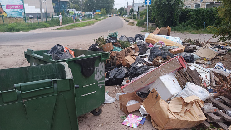 Проблема вывоза мусора в частном секторе в Пролетарке - народные новости ТИА