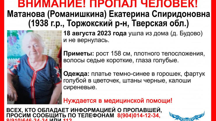 В деревне в Тверской области пропала 85-летняя женщина - новости ТИА