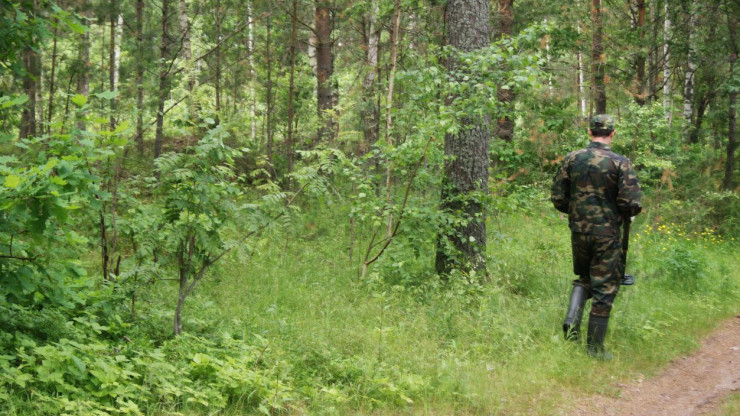 В Тверской области в лесу нашли тело грибника - новости ТИА