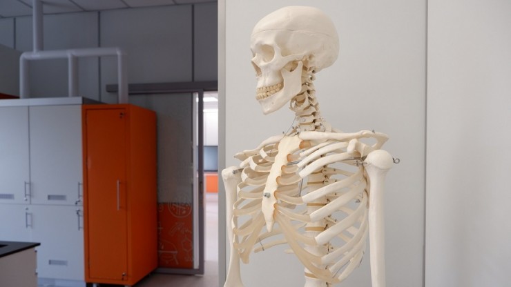 Глава Рособрнадзора заявил, что школьная программа перегружена - новости ТИА