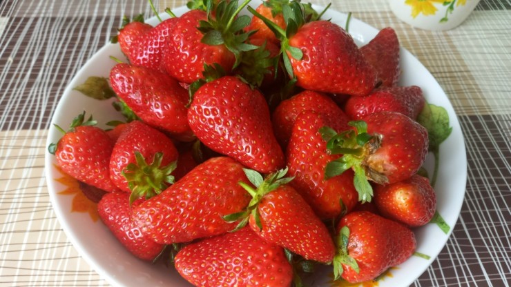 Локальные продукты против старения: эксперт рассказала о диете для долголетия - новости ТИА