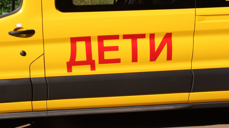 В Тверской области дети к школьному автобусу ходили в соседнюю деревню - новости ТИА
