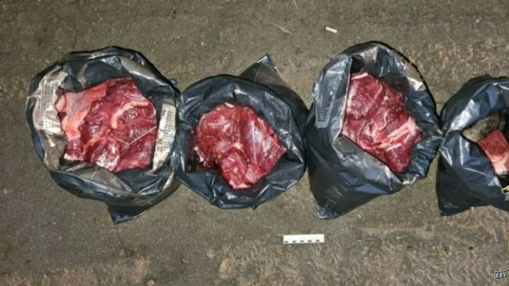 Мясо в пакетах: в Зубцовском округе задержали троих браконьеров - новости ТИА