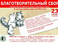 23 сентября в Твери пройдёт благотворительный сбор в помощь бездомным животным - Новости ТИА