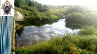 В Тверской области мальчик пошёл за ягодами и погиб - Новости ТИА