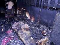 В Пеновском районе мужчина убил сожительницу и сжёг дом с телом женщины - Новости ТИА