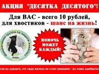 В Твери и области проходит ежемесячная благотворительная акция помощи животным "Десятка десятого"  - Новости ТИА