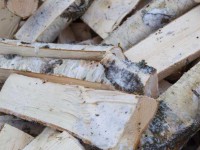 КАЭС помогает доставлять дрова одиноким ветеранам Удомли  - новости ТИА