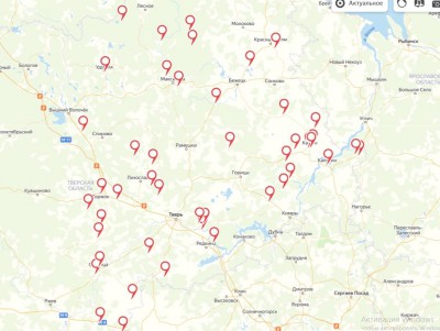 В Тверской области зарегистрировали 48 случаев бешенства - новости ТИА