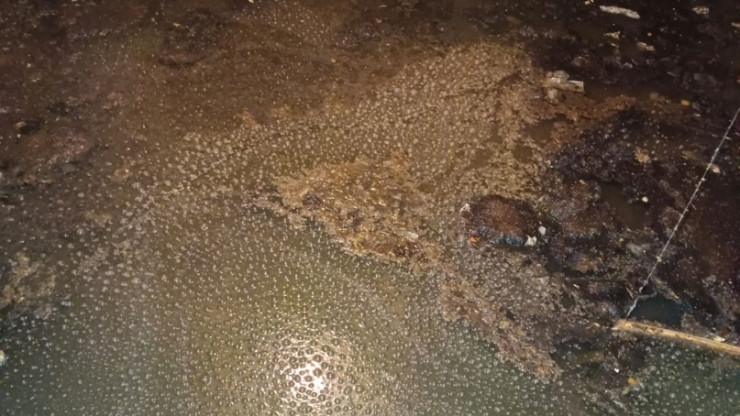 В Твери подвал дома заливает вода из канализации с фекалиями - новости ТИА