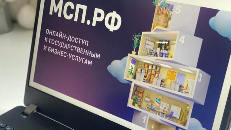 Предприниматели могут воспользоваться услугами Цифровой платформы МСП.РФ - новости ТИА