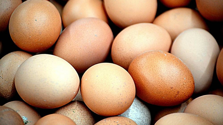 Подсчитано, сколько яиц в среднем съедает житель Тверской области за месяц - новости ТИА