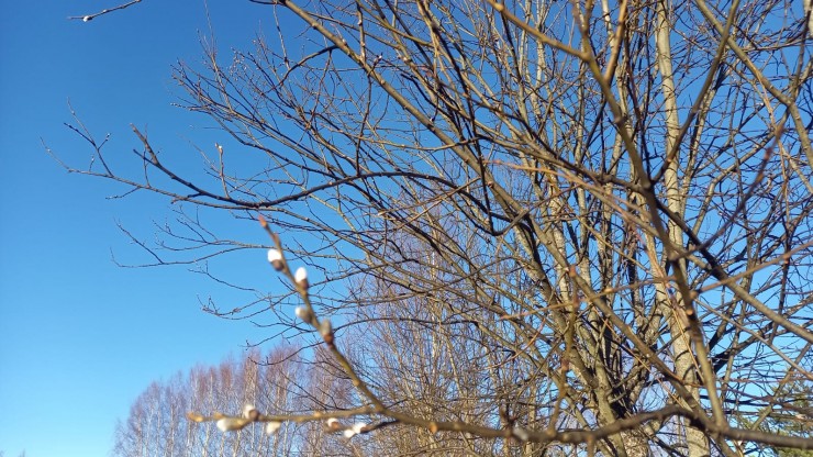 20 марта - день весеннего равноденствия: приметы, гадания и запреты - новости ТИА