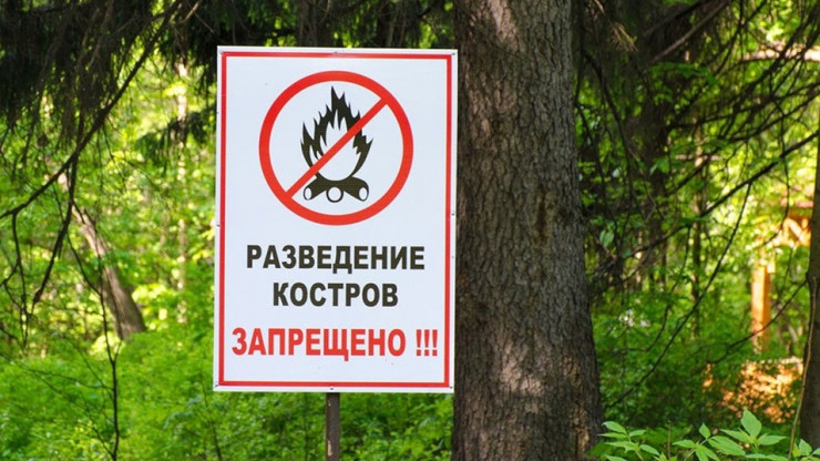 До конца лета в Тверской области ввели особый противопожарный режим - новости ТИА