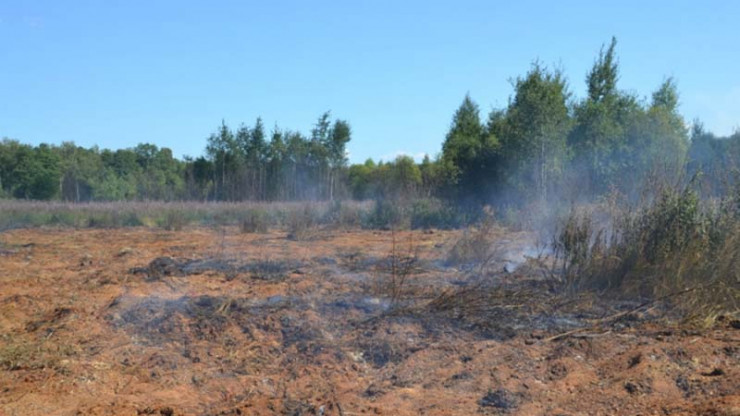 МЧС: к тушению пожара в лесу в Тверской области привлекли авиацию - новости ТИА