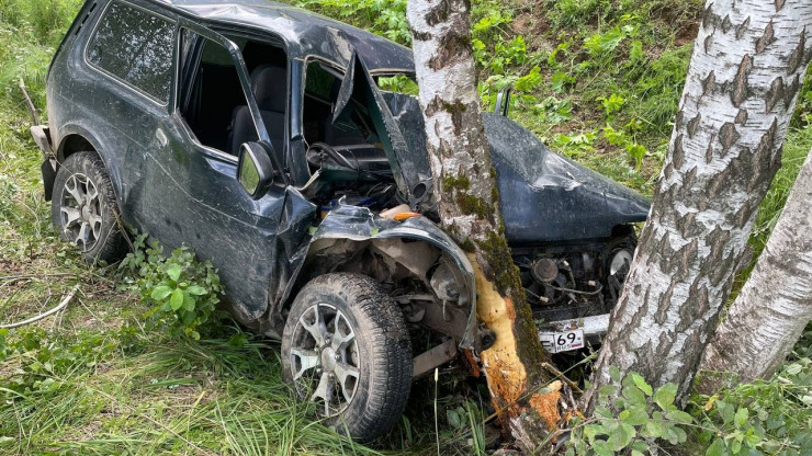 В Тверской области два человека пострадали в ДТП с деревом - новости ТИА