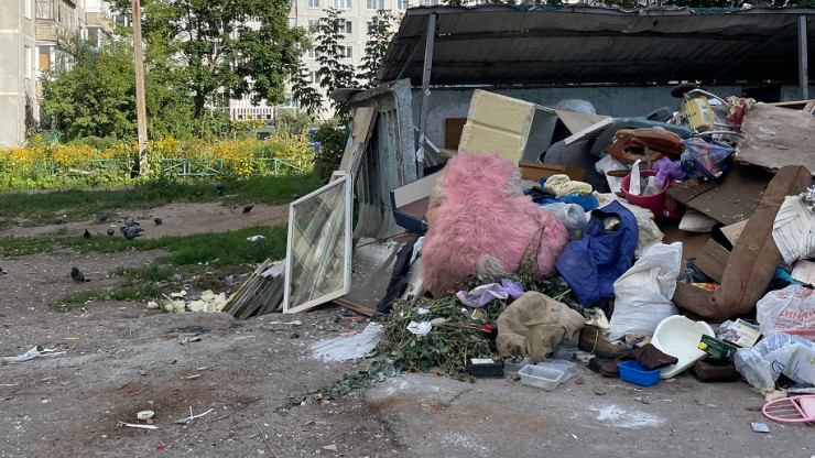 В тверском дворе в образовавшейся свалке поселились крысы - народные новости ТИА