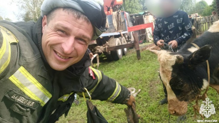 Под Тверью спасатели достали из колодца молодого бычка - новости ТИА