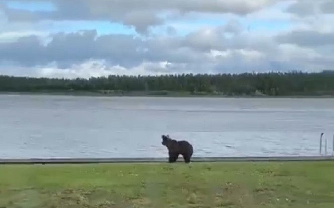 скрин с видео Макса Безлепкина, группа ВК "Подслушано в Весьегонске"
