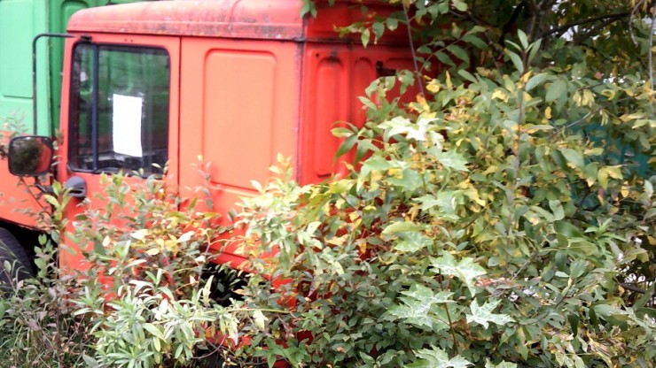 В Твери кто-то выбросил в кусты кабину грузовика - новости ТИА