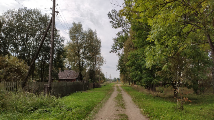 В деревне Волково Тверской области объявили карантин по бешенству - новости ТИА