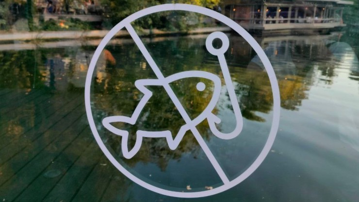 В лещах и краснопёрках из тверских рек обнаружены паразиты - новости ТИА