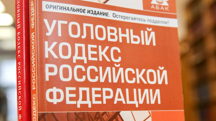 В России планируют конфисковывать имущество кибермошенников - новости ТИА